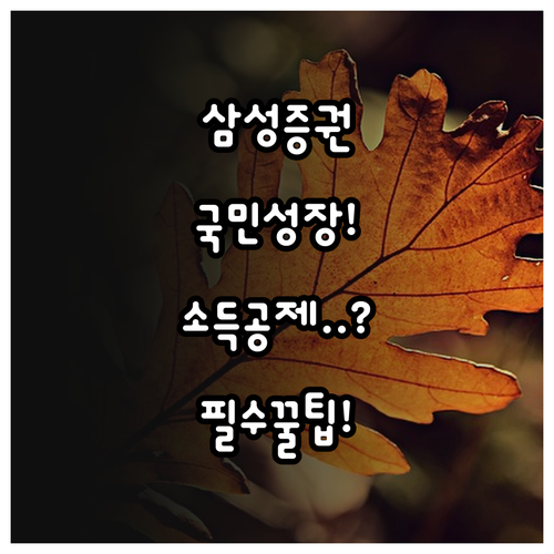 삼성증권 국민성장펀드 가입 방법과 소..
