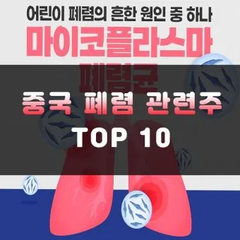 중국폐렴 대장주 관련주 TOP5 총정리_14