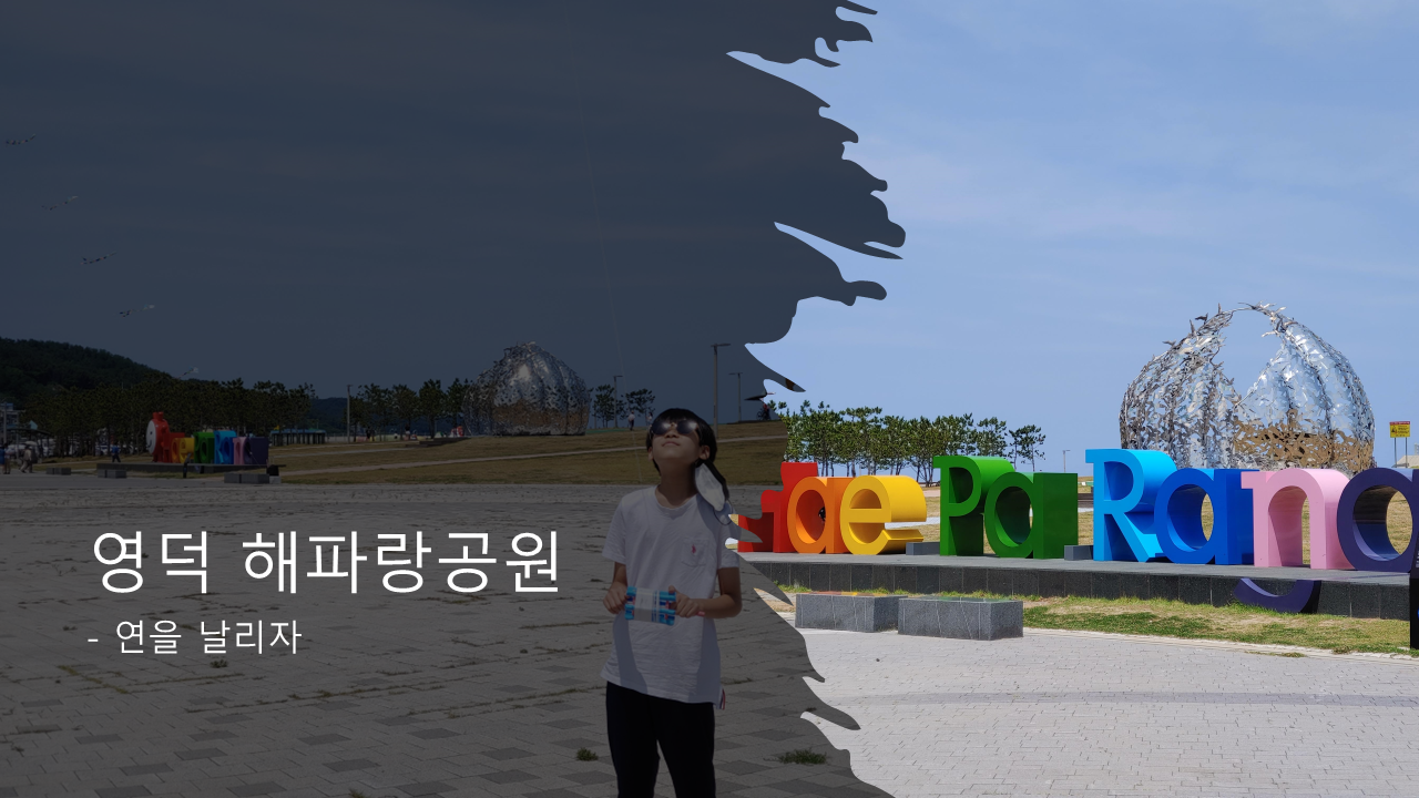 영덕 해파랑공원에서 연을 날리는 모습