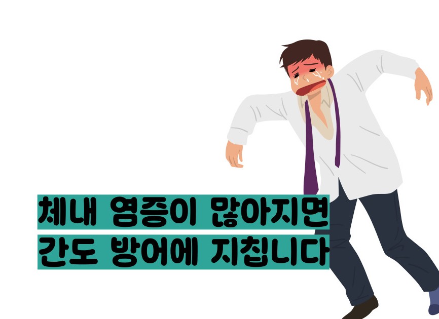 간수치가 올라가는 이유
