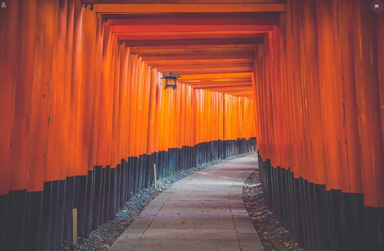 신카이 마코토 감독 세계관