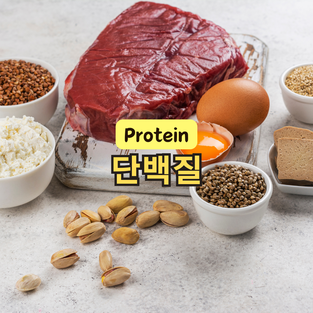 단백질 부족 증상과 단백질 많은 음식 TOP10