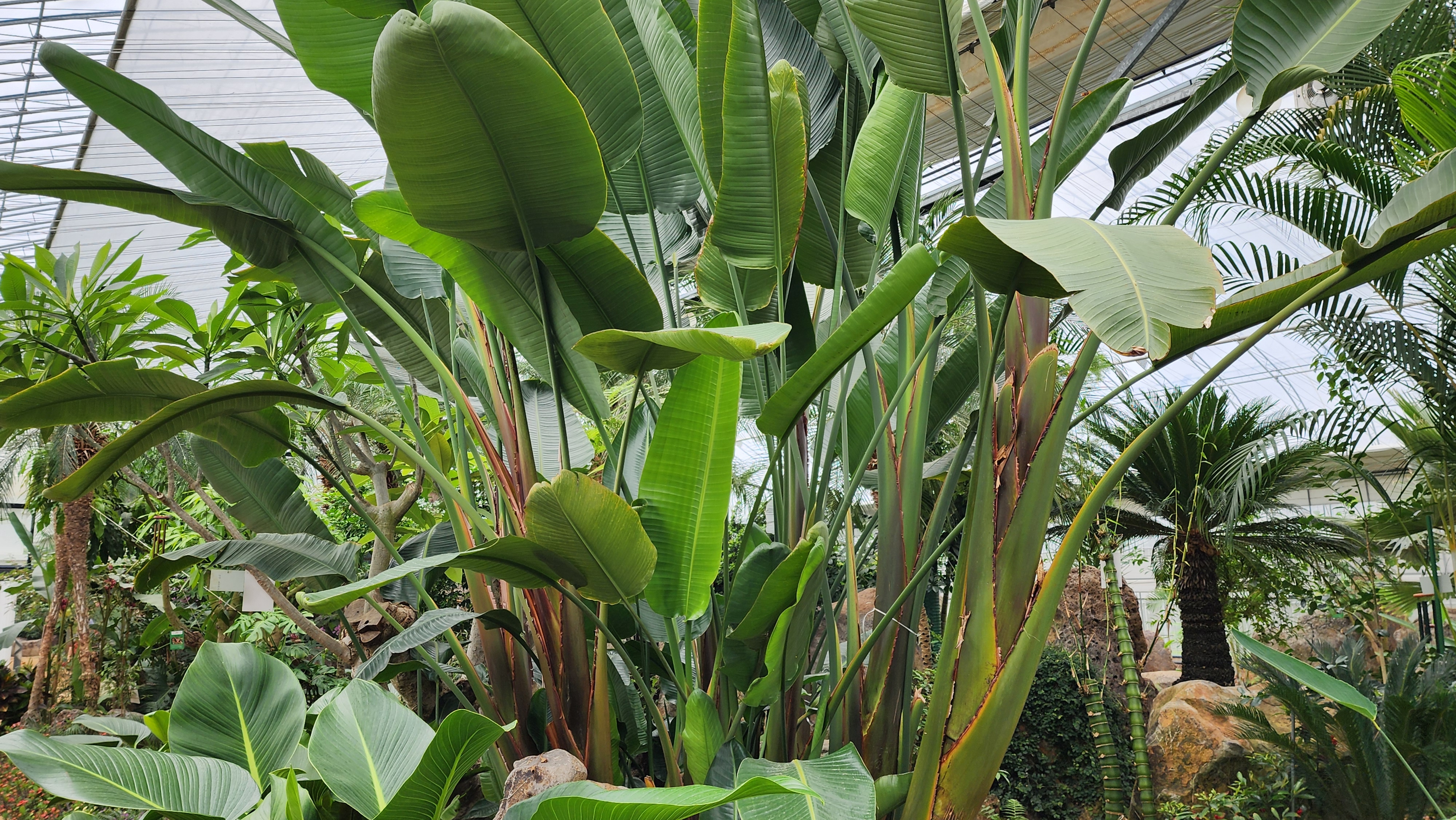 자라섬 이화원, 가평 가볼만한곳