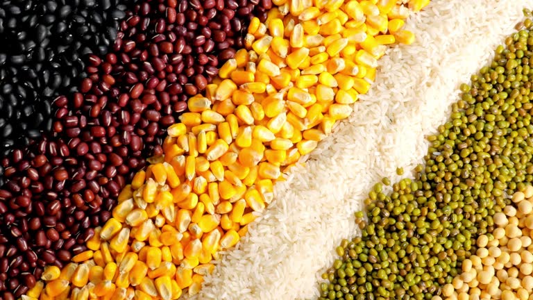 건강을 지키기 위해서는 글루텐프리 식단을 실천하고 쌀 메밀 옥수수 등 건강한 대체 식품을 적극 활용하는 것이 필요