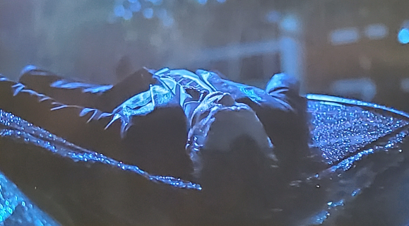 천원짜리 변호사