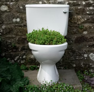 과민성 대장증후군 치료법 예방 진단법