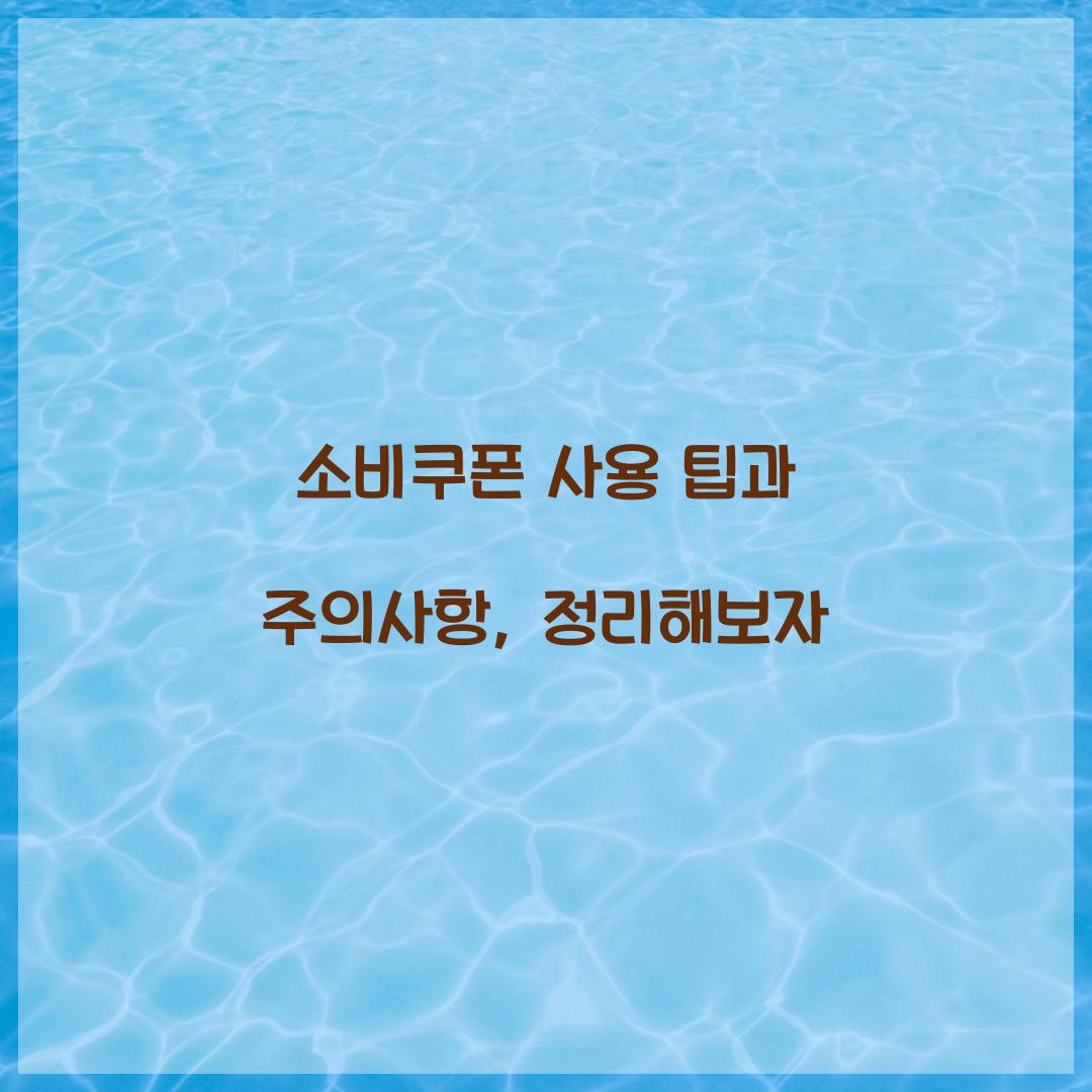 소비쿠폰 사용
