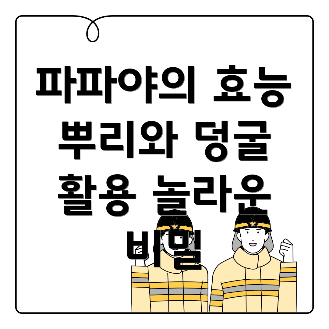 파파야뿌리와덩굴