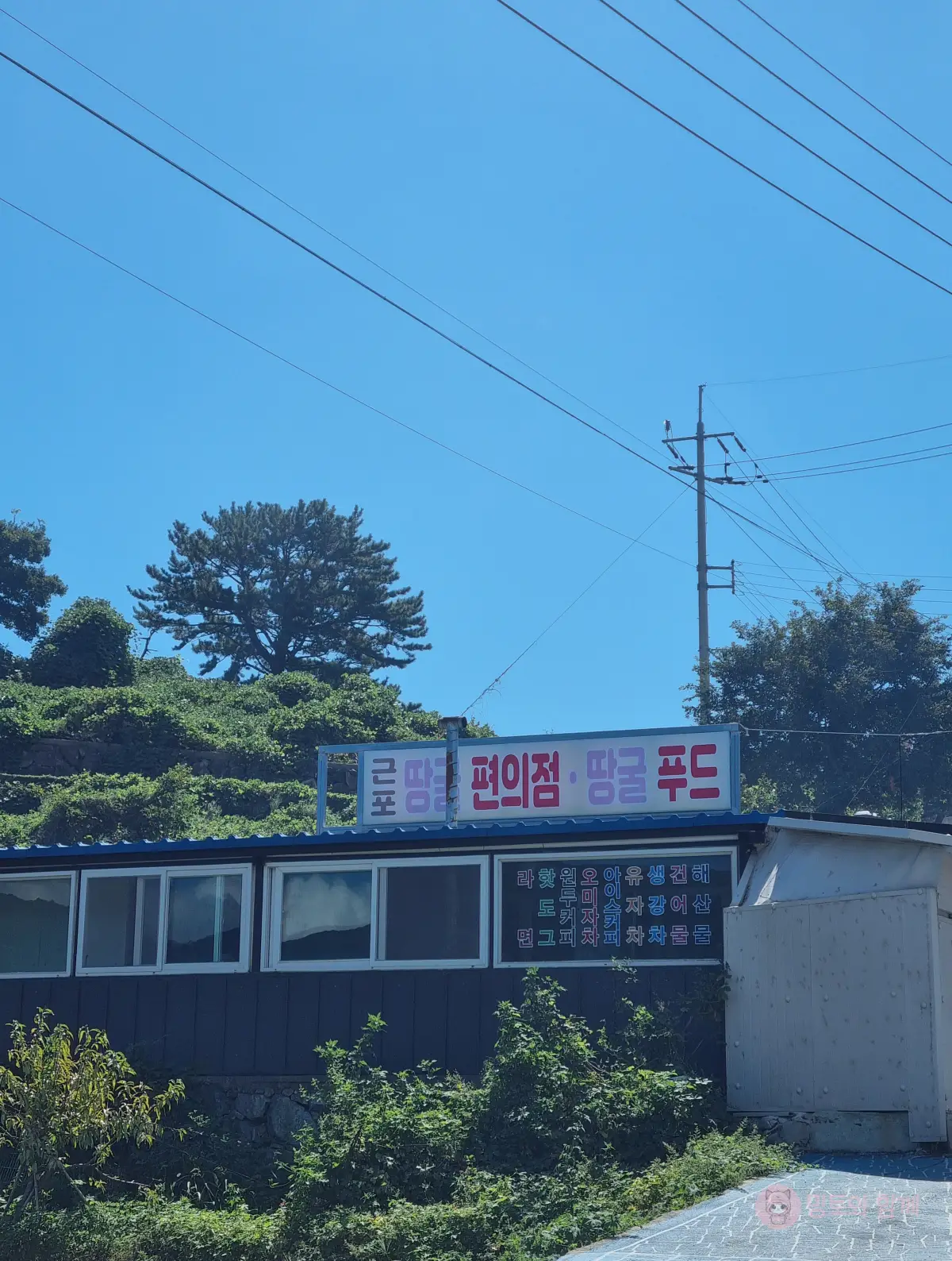 편의점