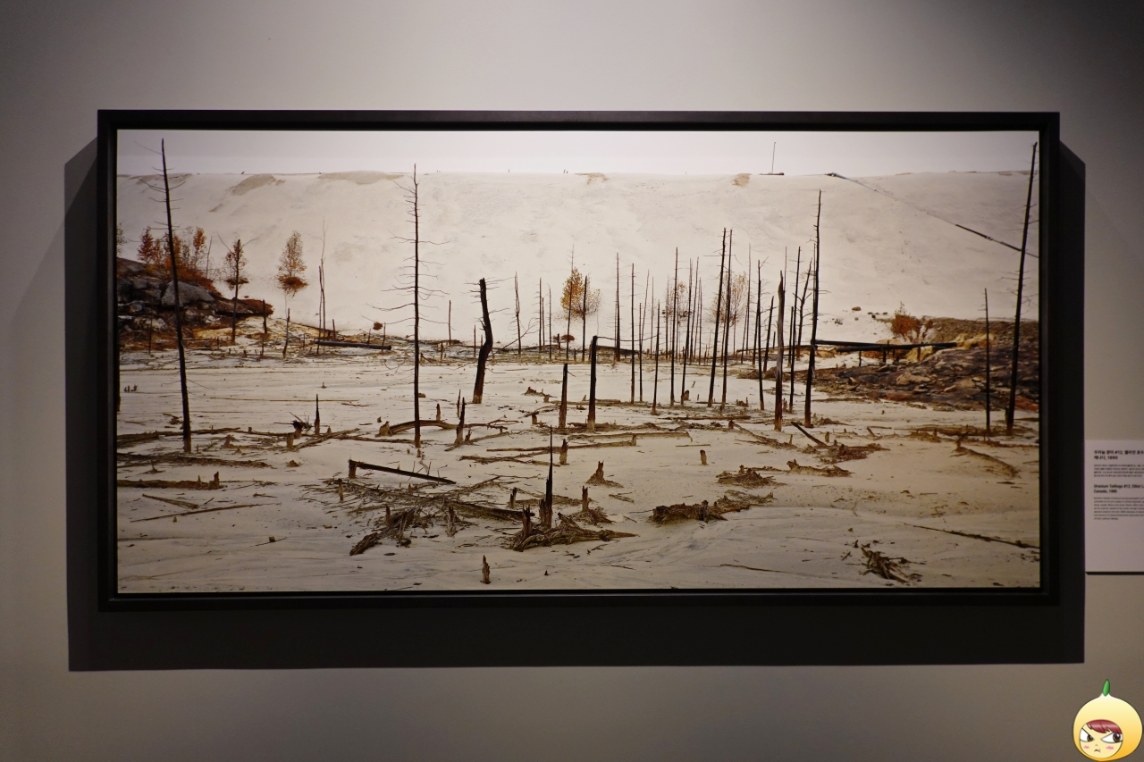 우라늄 광미 #12, 엘리엇 호수, 온타리오주, 캐나다, 1995