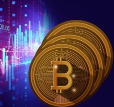 애니메 코인 ANIME