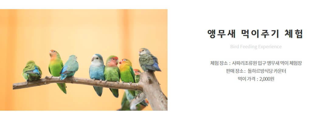 제주 한림공원 수선화 축제가 23년 1월 21일부터 2월 19일까지 제12회 수선화축제를 개최합니다.