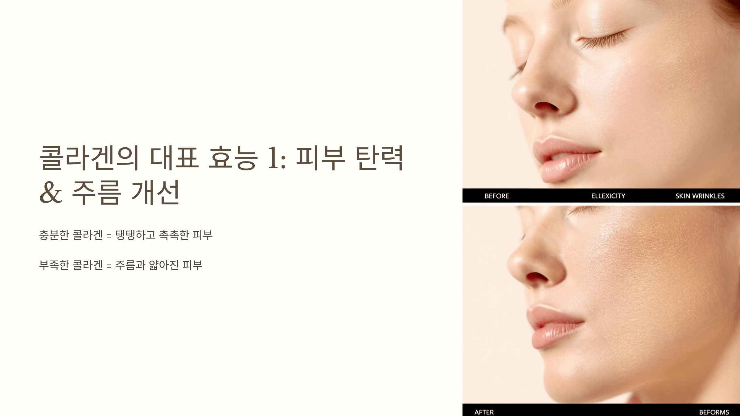 콜라겐 관련 사진입니다.