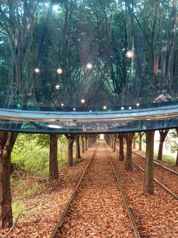 레일파크 선로 조명들