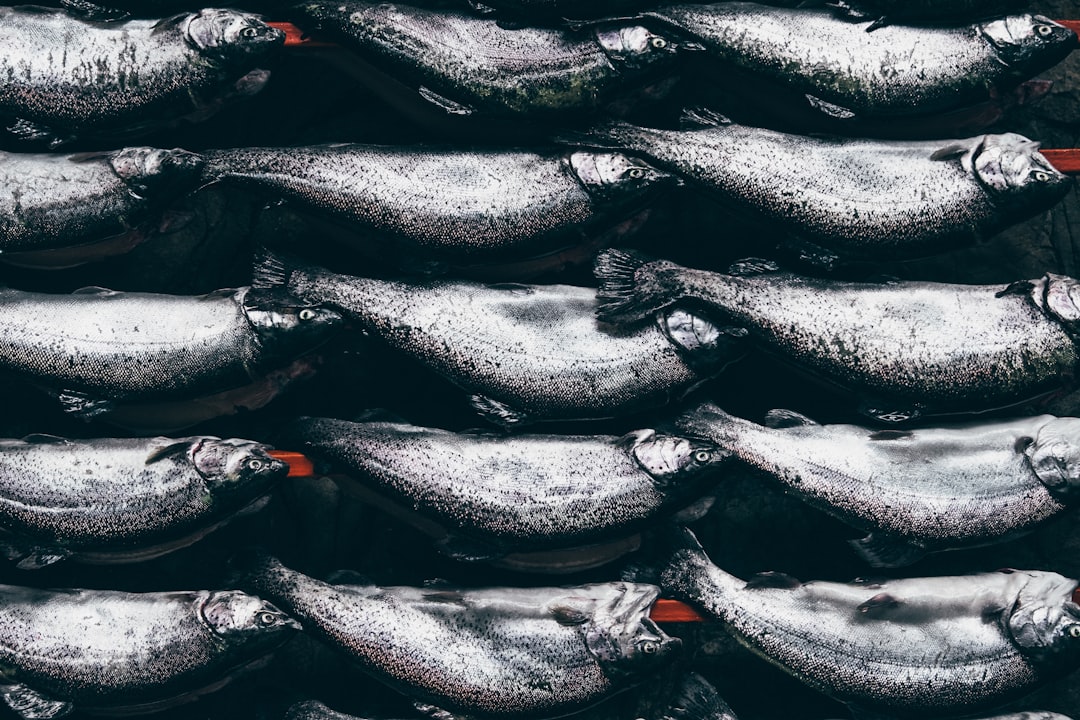 seafood