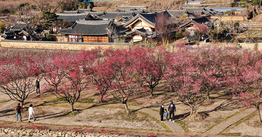 대구 봄 나들이 갈만한 곳