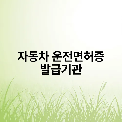 자동차 운전면허증 발급기관