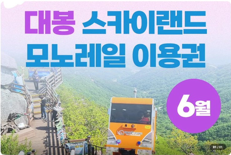 대봉산 모노레일 예약