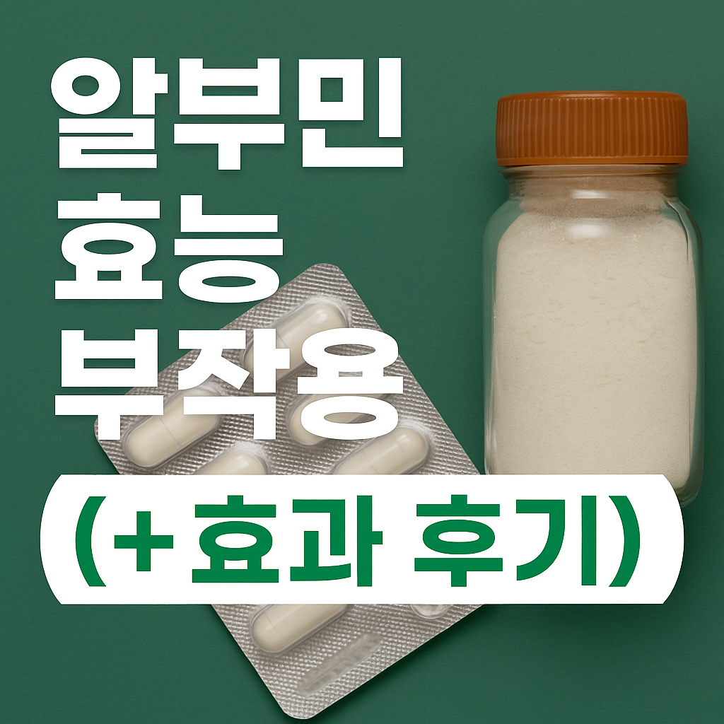 알부민 효능 부작용 (+ 효과 후기) – 간 건강, 부종, 면역력에 어떤 도움 될까?