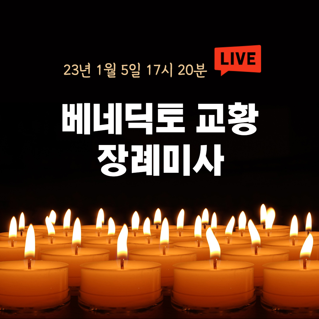 베네딕토 16세 교황 장례미사 실시간 생방송