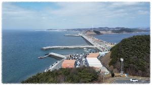 모산도
