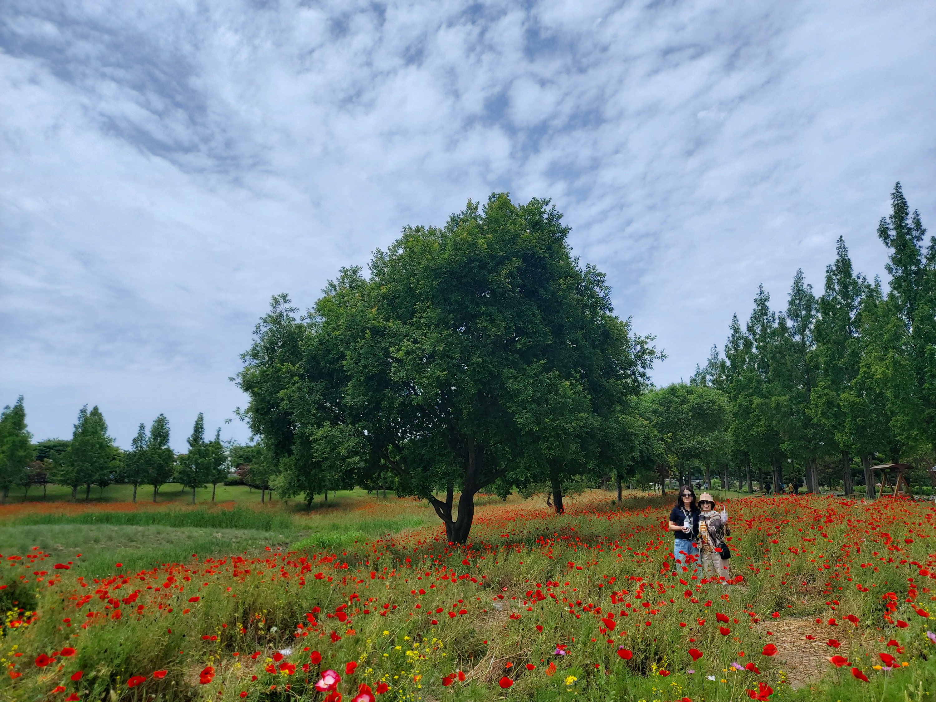 순천정원워케이션