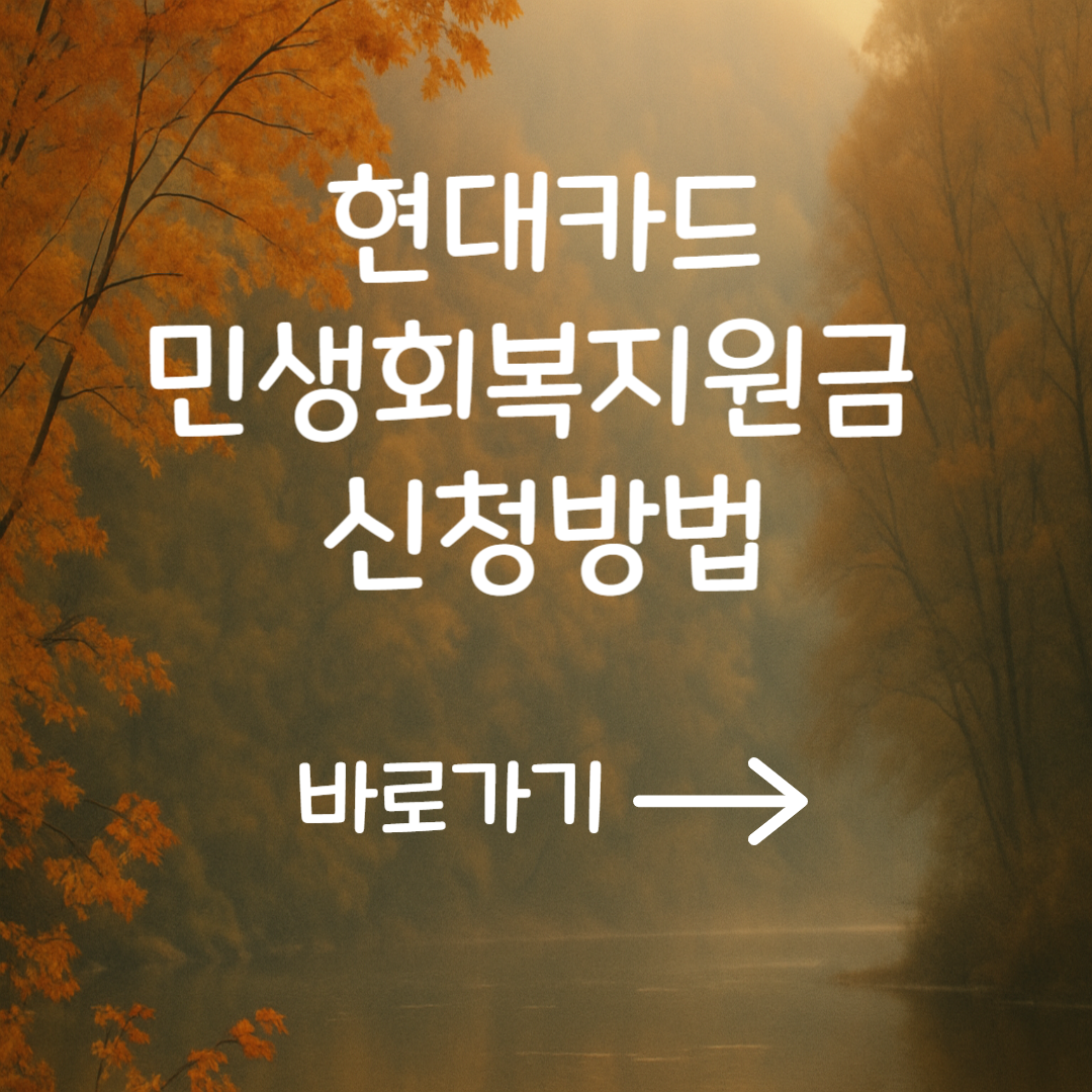 2025 현대카드 국민회복지원금 신청 방법 &amp; 인구감소지역 조회