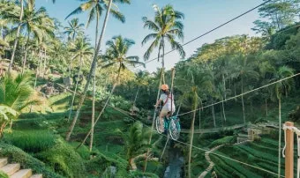 발리 알라스 하룸 Alas Harum 크레트야 우붓 Cretya Ubud 우붓 핫 플레이스_2