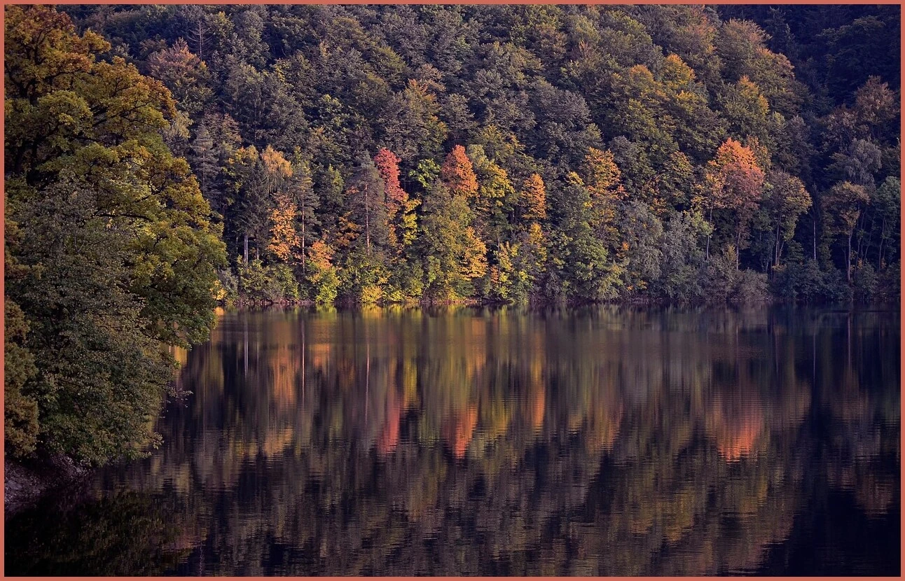 정기예금 금리 가장 높은곳