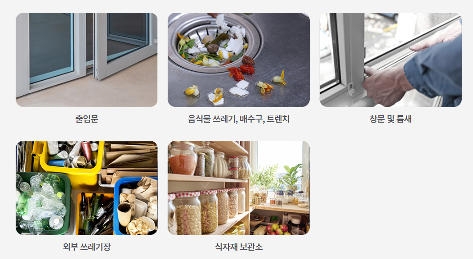 여름철 해충 발생 원인 및 박멸 방법