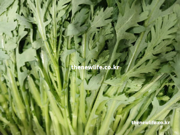 쑥갓의 효능인 심신 안정을 돕는 향긋한 냄새를 품은 잎의 실사진