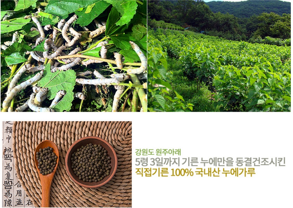 고니골 누에환