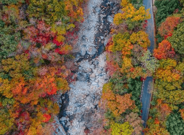 단풍축제 지리산 피아골