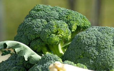 브로콜리 데치기