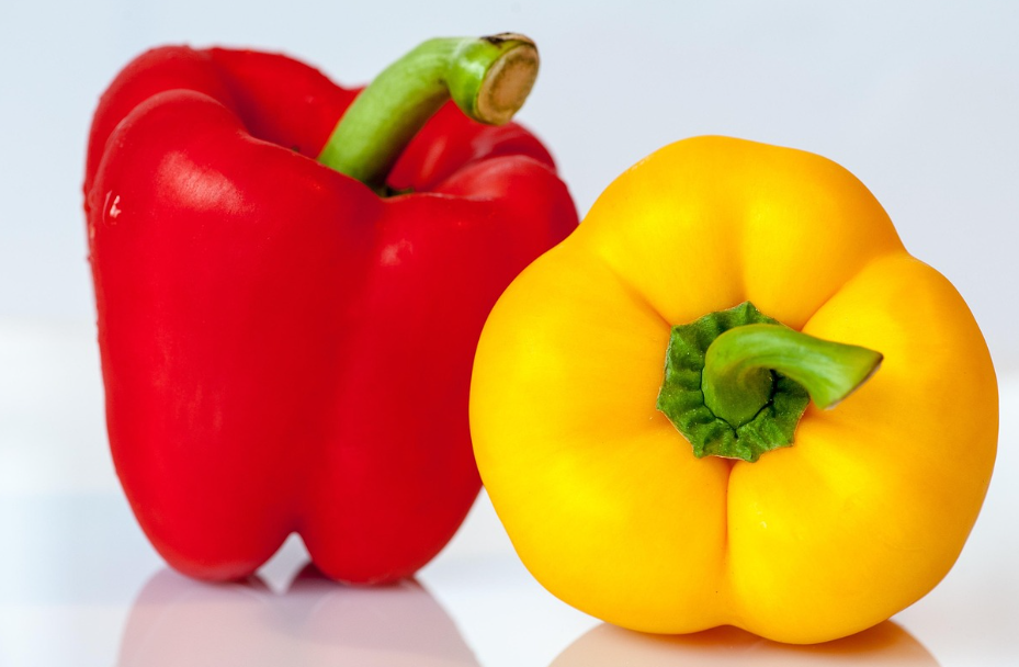 파프리카의 모습