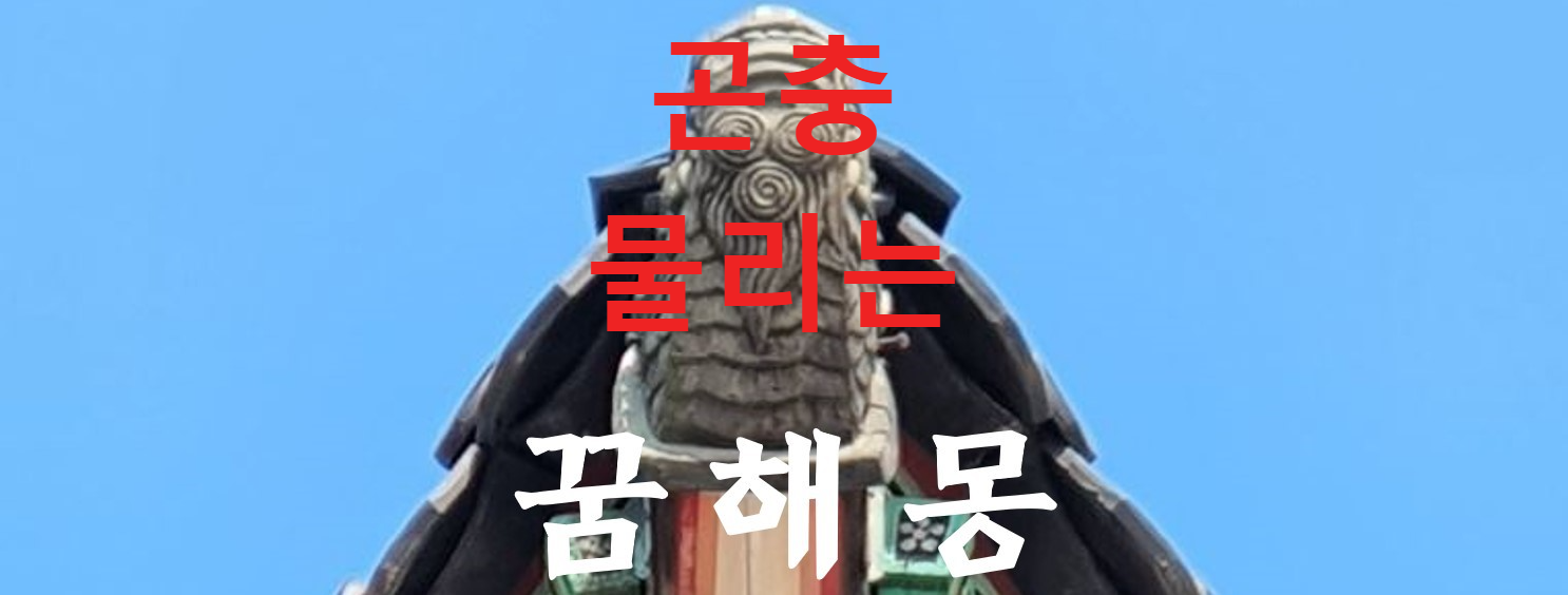 꿈해몽