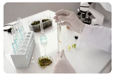 과학 동아리 학생용 식물도감 (탐구 활동의 필수 도구)