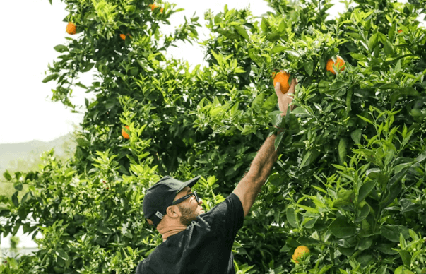 뉴질랜드 워킹홀리데이 완벽 가이드: 비자부터 정착까지