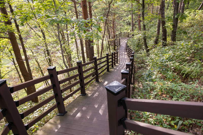 속초설악산자생식물원