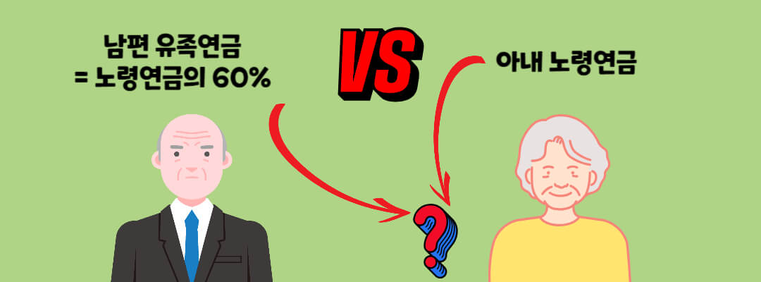 유족 연금 중복 제한