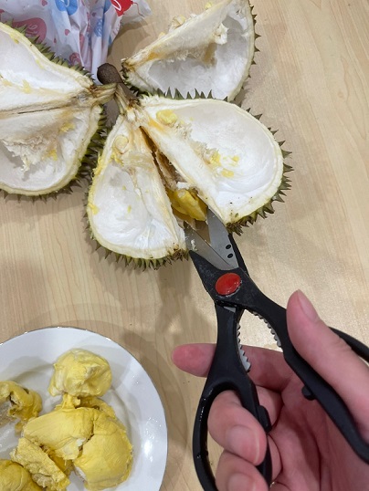 두리안 쉽게 까는 방법 설명 4