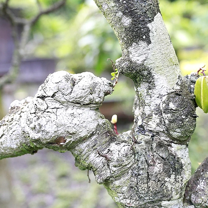 매도 계약서 예시