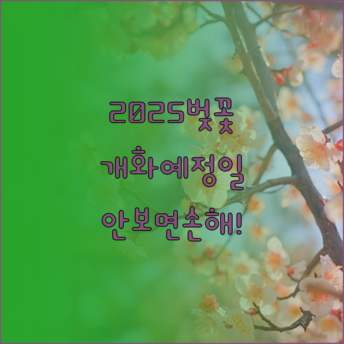 2025 벚꽃 개화 시기 지역별 예상..