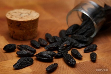 "통카콩" 쿠마린 성분의 발견 식물