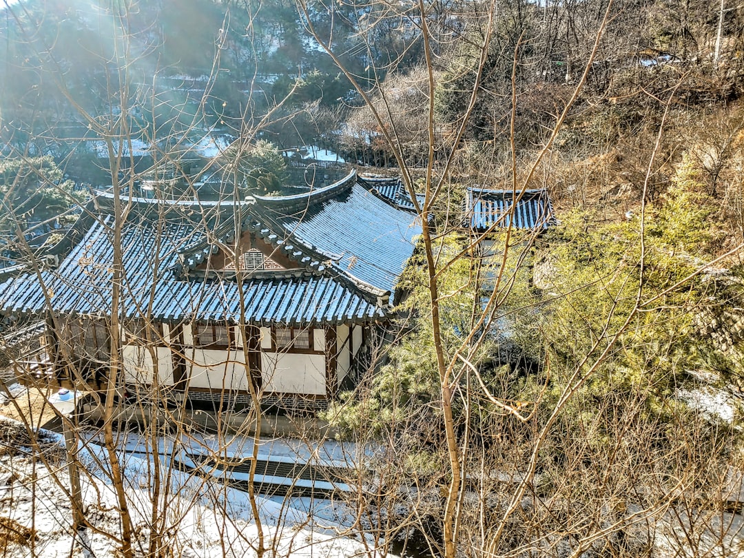 Kyunghyang