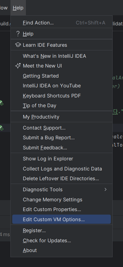 Edit Custom VM Options...