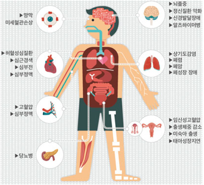 미세먼지 영향 사진