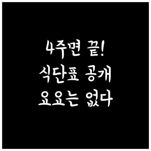 요요 없는 4주 집중 감량 식단표와 ..