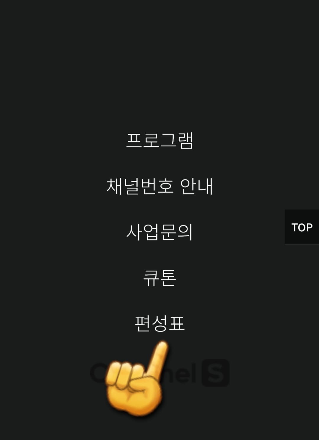 CHANNEL-S-PLUS(채널S-플러스)-편성표-및-채널번호-확인-방법-안내-그러면-메뉴에서-다섯-번째-줄에-위치한-편성표를-클릭하면-네이버-홈페이지로-이동하게-되는데요.