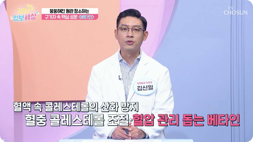 tv조선 굿모닝 정보세상 구기자